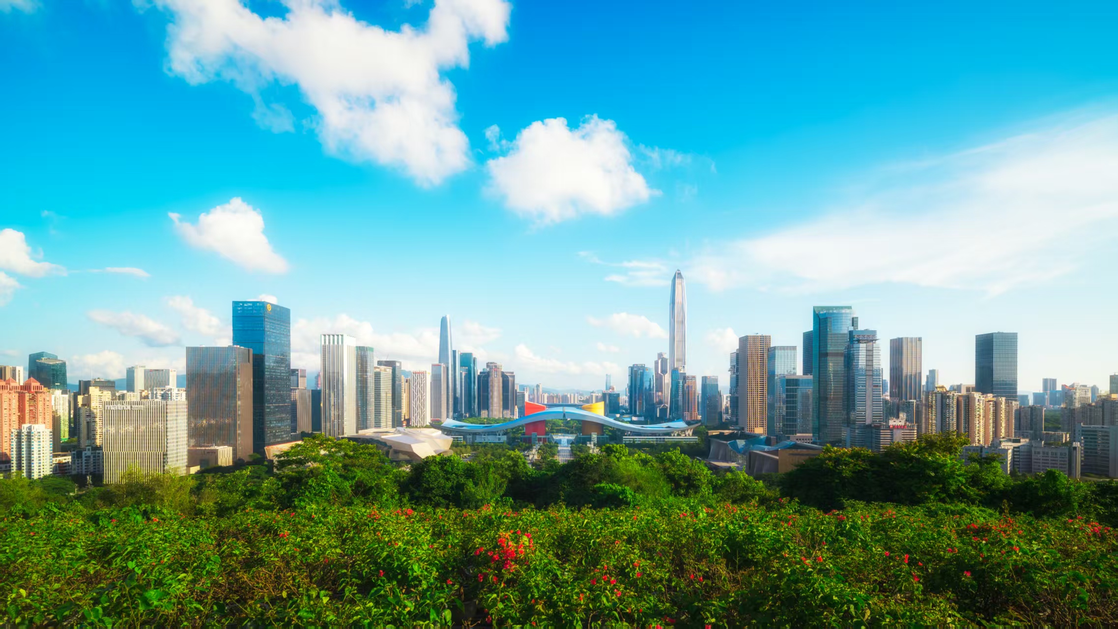 光影瞬间 / 12